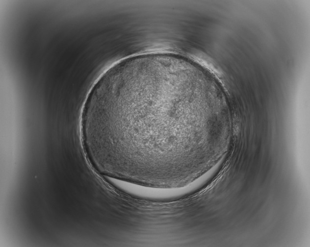 X0000097871423200803211305