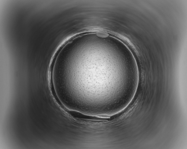 X0000097871424200803211305