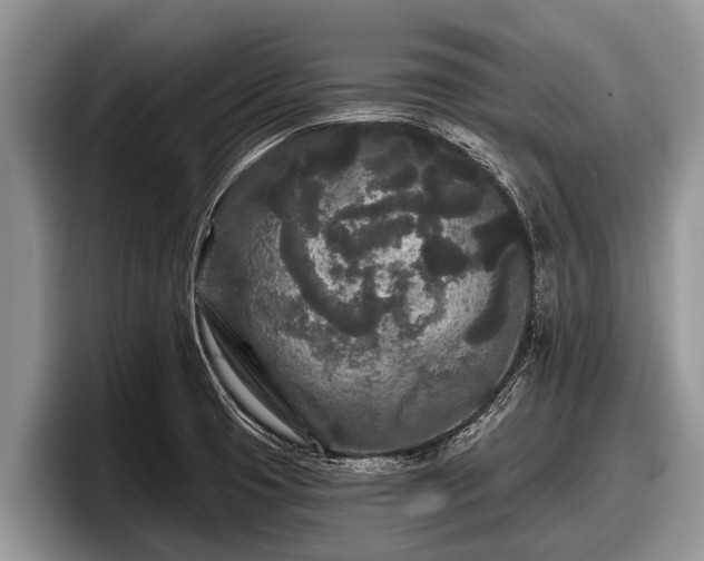 X0000097871425200803211305