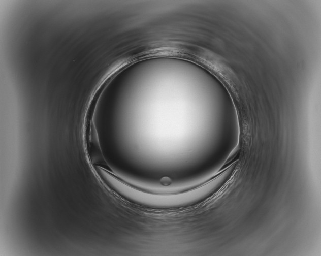 X0000097871426200803211305