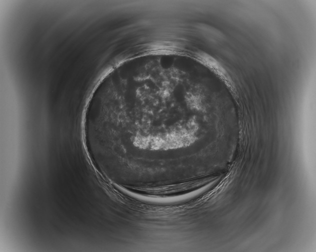X0000097871427200803211305