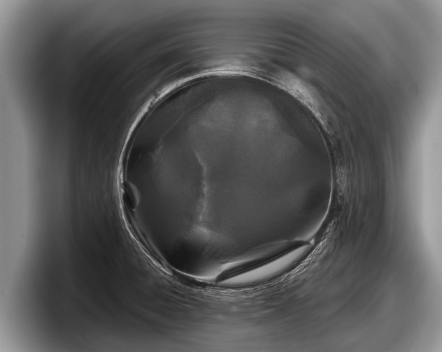 X0000097871428200803211305