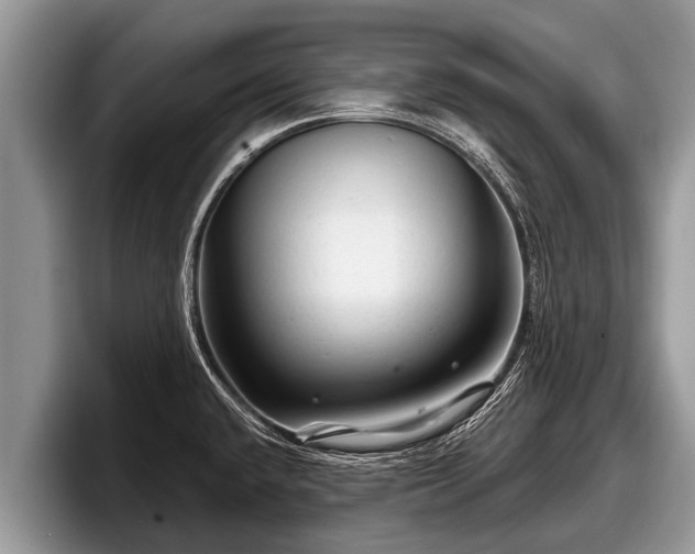 X0000097871432200803211305