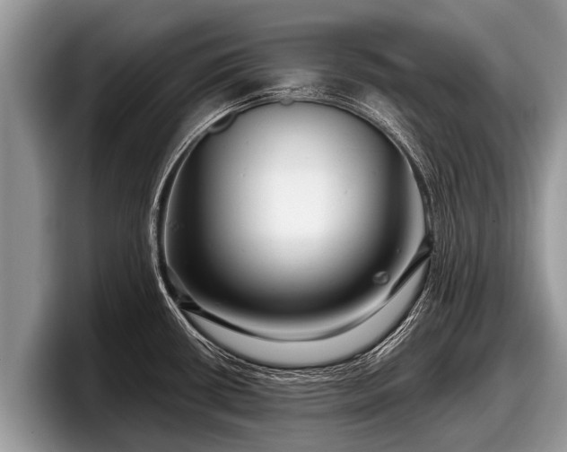 X0000097871434200803211305