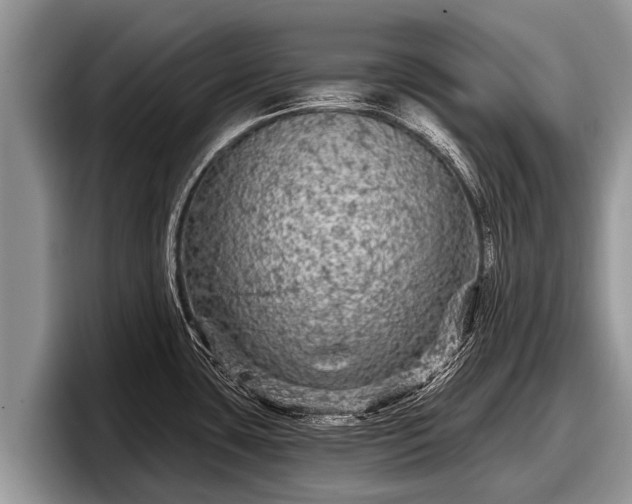 X0000097871435200803211305