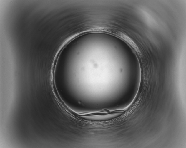 X0000097871436200803211305