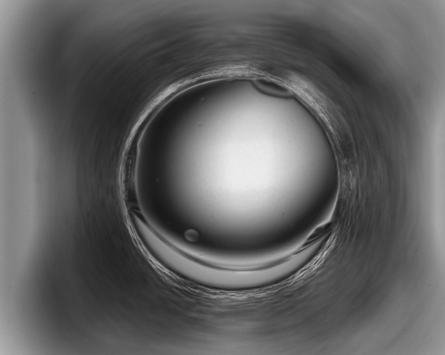 X0000097871438200803211305