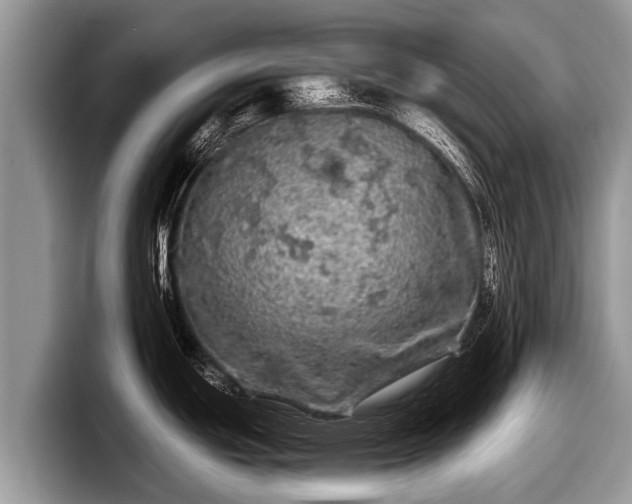X0000097871439200803211305