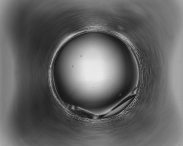 X0000097871440200803211305
