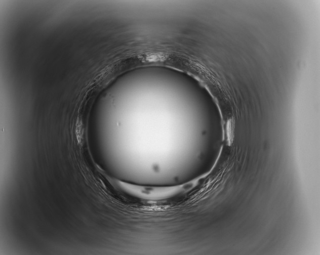 X0000097871443200803211305