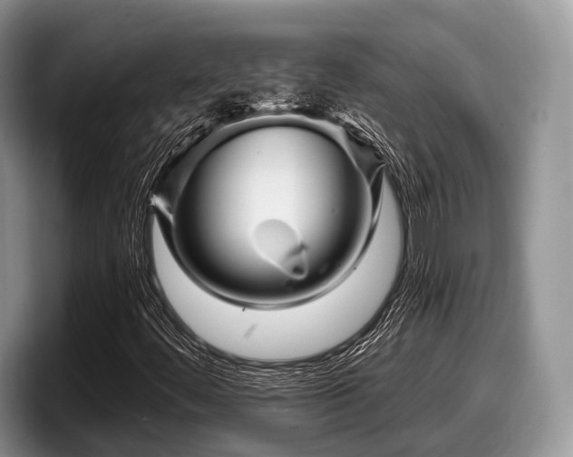 X0000097871444200803211305
