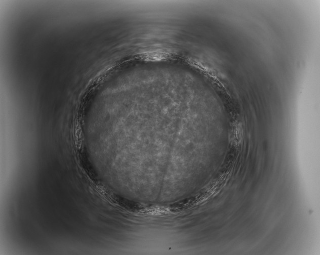 X0000097871446200803211305