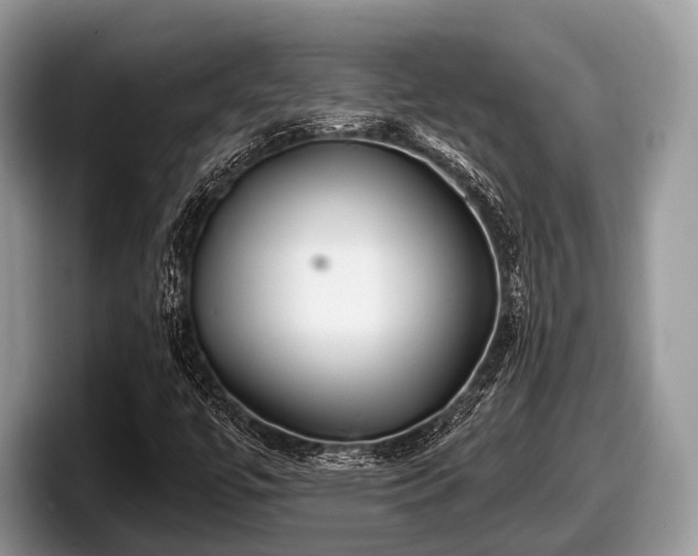 X0000097871447200803211305