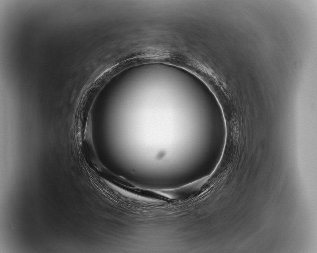 X0000097871448200803211305