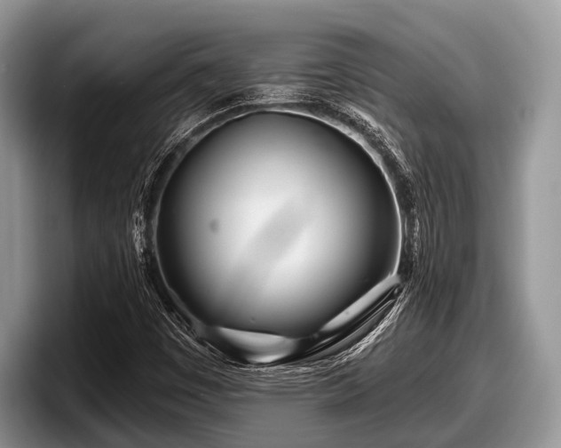 X0000097871449200803211305