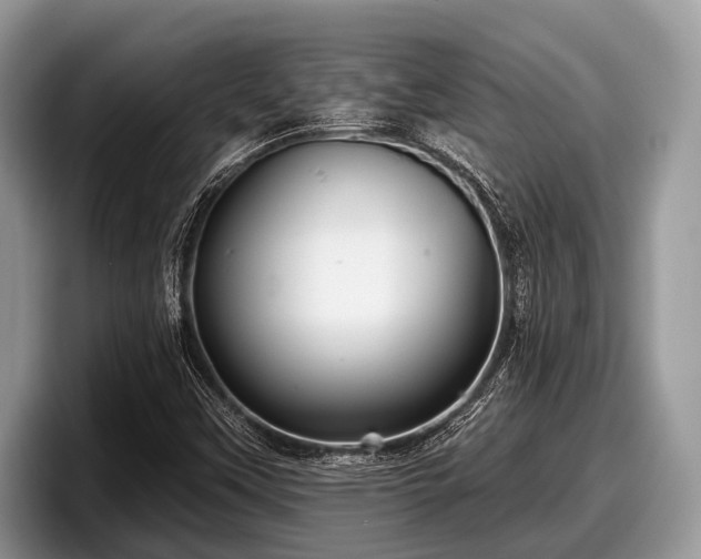 X0000097871451200803211305