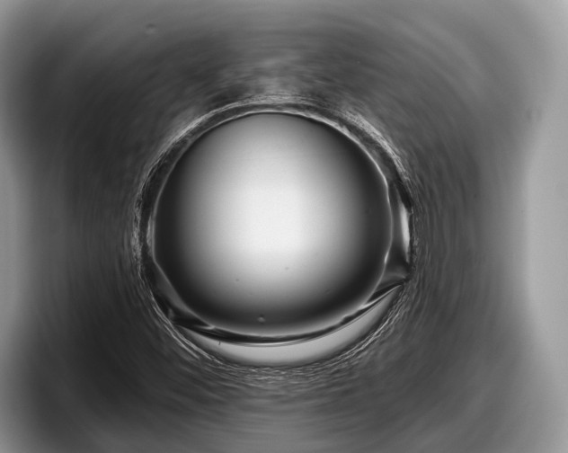 X0000097871452200803211305