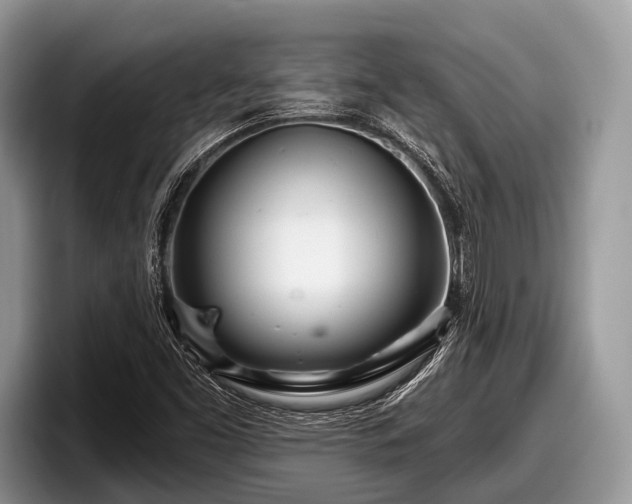 X0000097871453200803211305