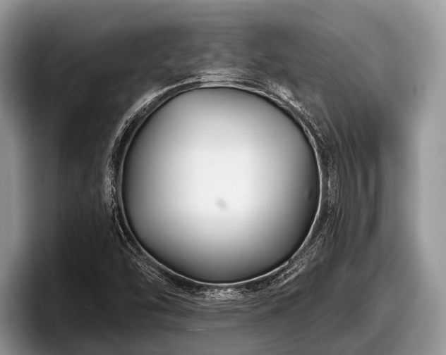 X0000097871454200803211305