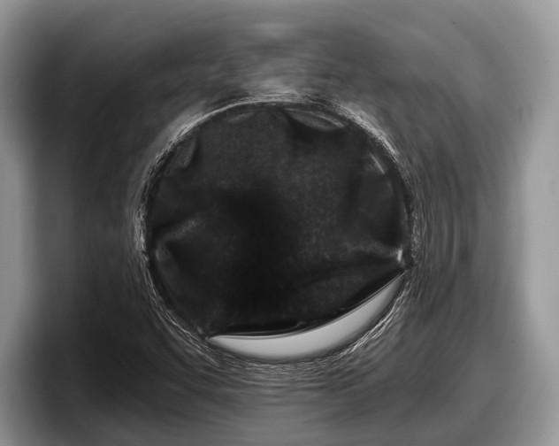X0000097871455200803211304
