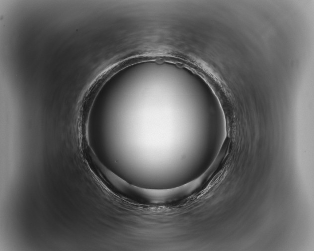 X0000097871456200803211304