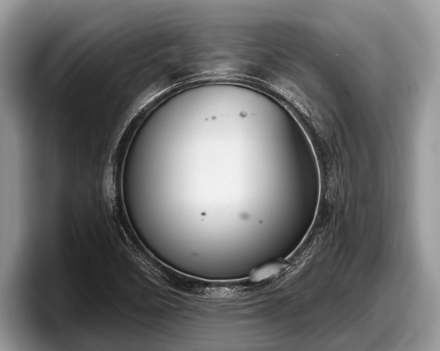 X0000097871458200803211304