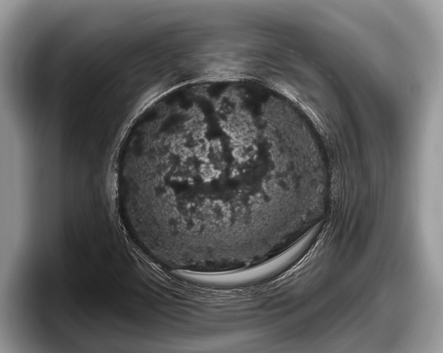 X0000097871459200803211304