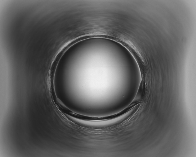 X0000097871460200803211304