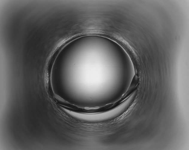X0000097871461200803211304