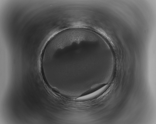 X0000097871463200803211304