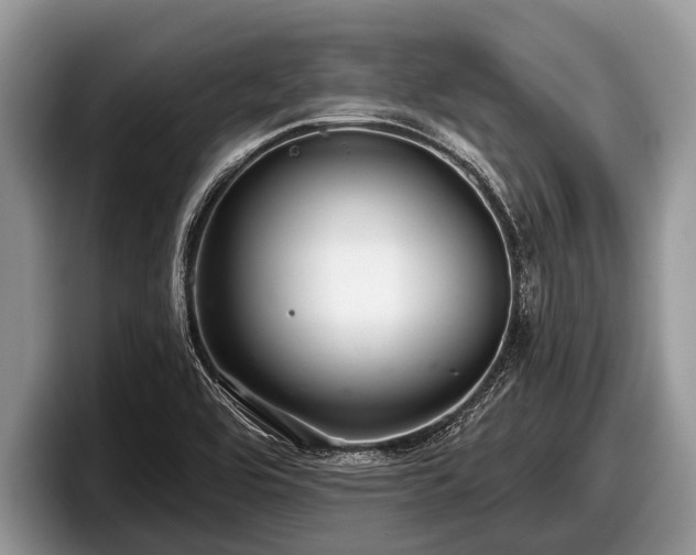 X0000097871464200803211304