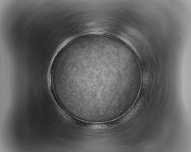 X0000097871466200803211304
