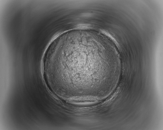 X0000097871467200803211304