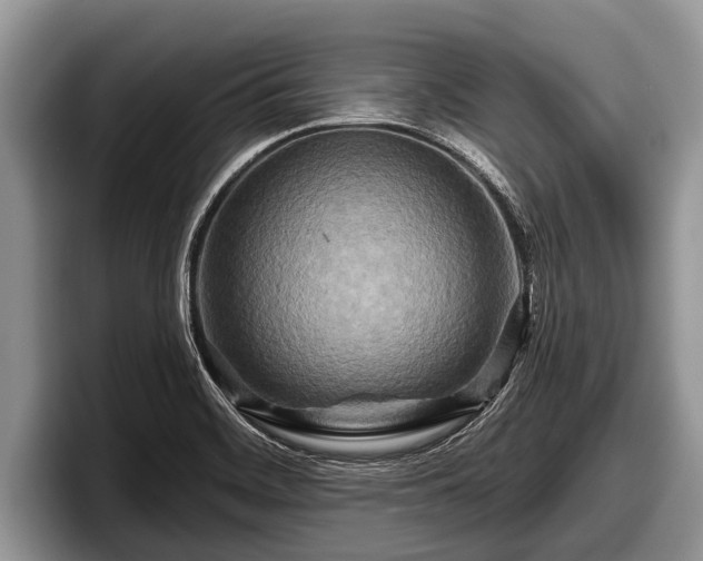 X0000097871468200803211304