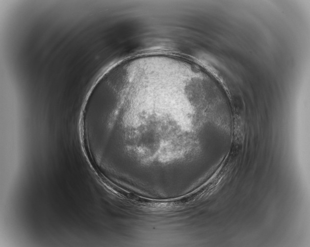 X0000097871474200803211304