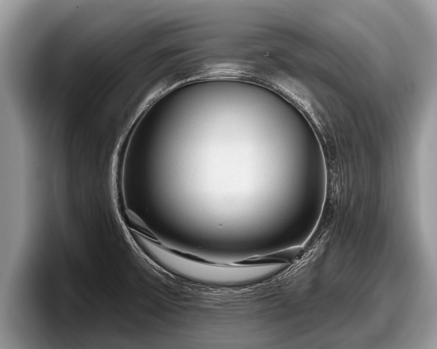 X0000097871475200803211304