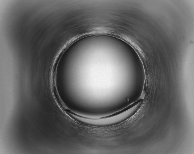 X0000097871477200803211304