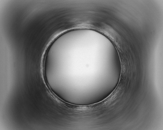 X0000097871478200803211304