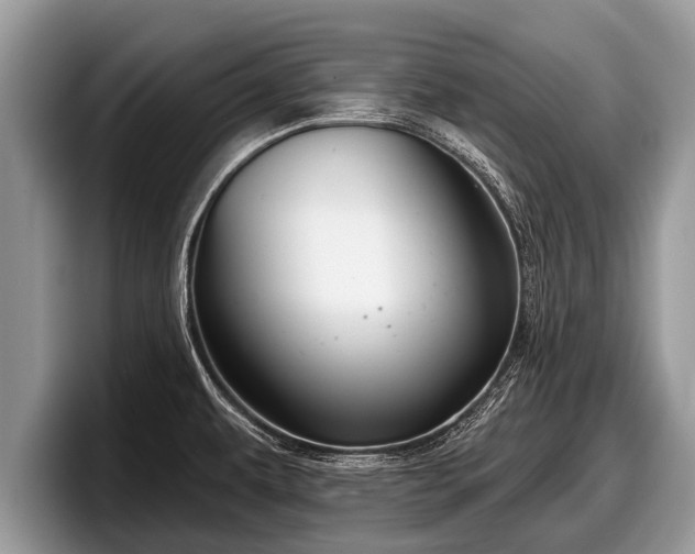 X0000097871479200803211304