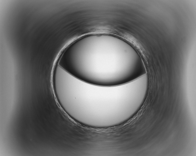 X0000097871480200803211304