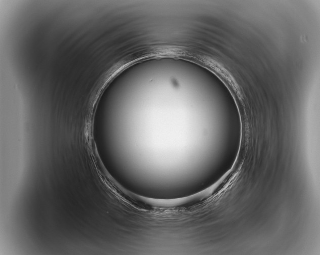 X0000097871481200803211304