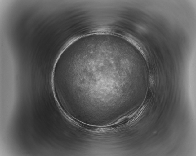 X0000097871482200803211304