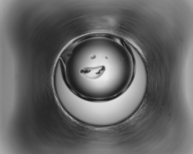 X0000097871484200803211304