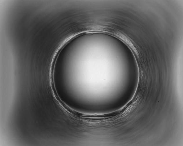 X0000097871485200803211304