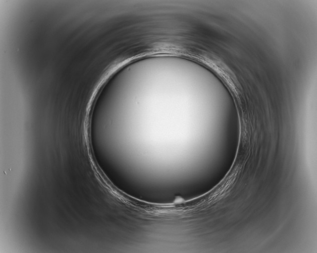 X0000097871486200803211304