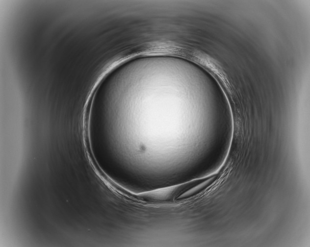 X0000097871487200803211304