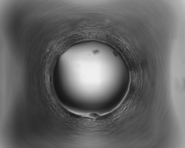 X0000097871489200803211303