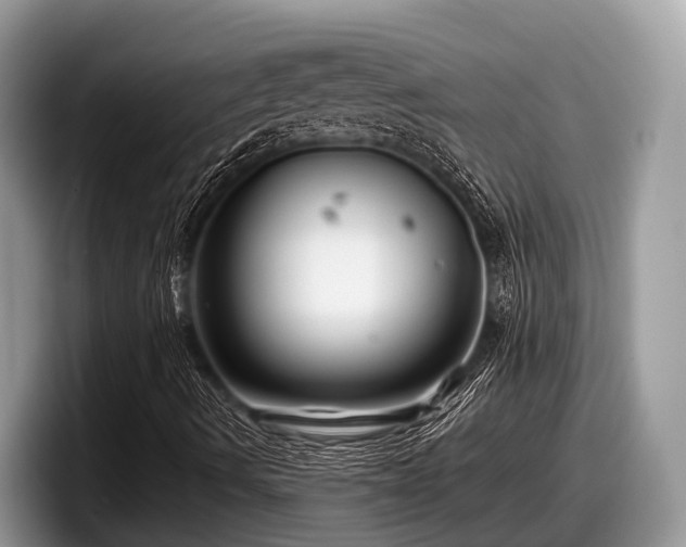 X0000097871490200803211303