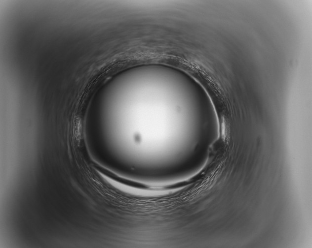 X0000097871492200803211303