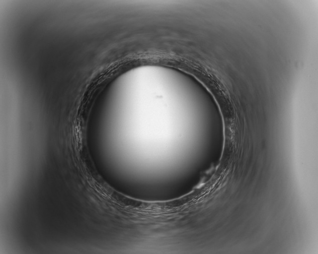 X0000097871493200803211303